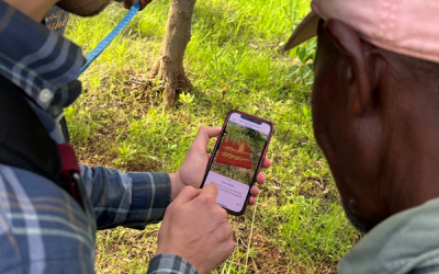 Could zero-rating advance meaningful connectivity in education?